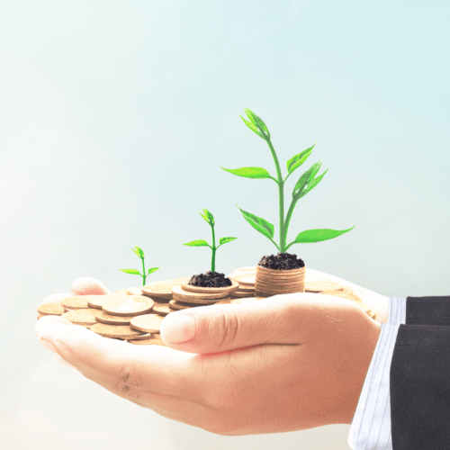 dao-thu-phuong-success-story-1